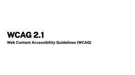 WCAG2.1 Standard