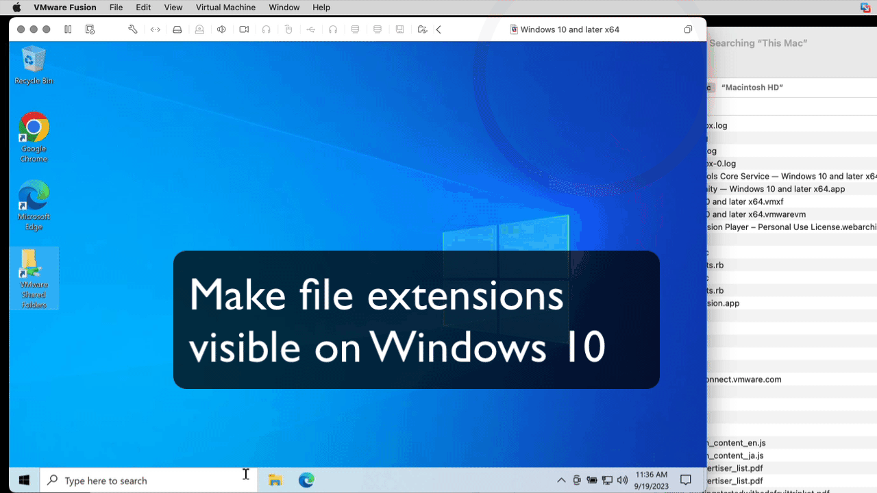 Showing how to display filename extensions in Windows 10 